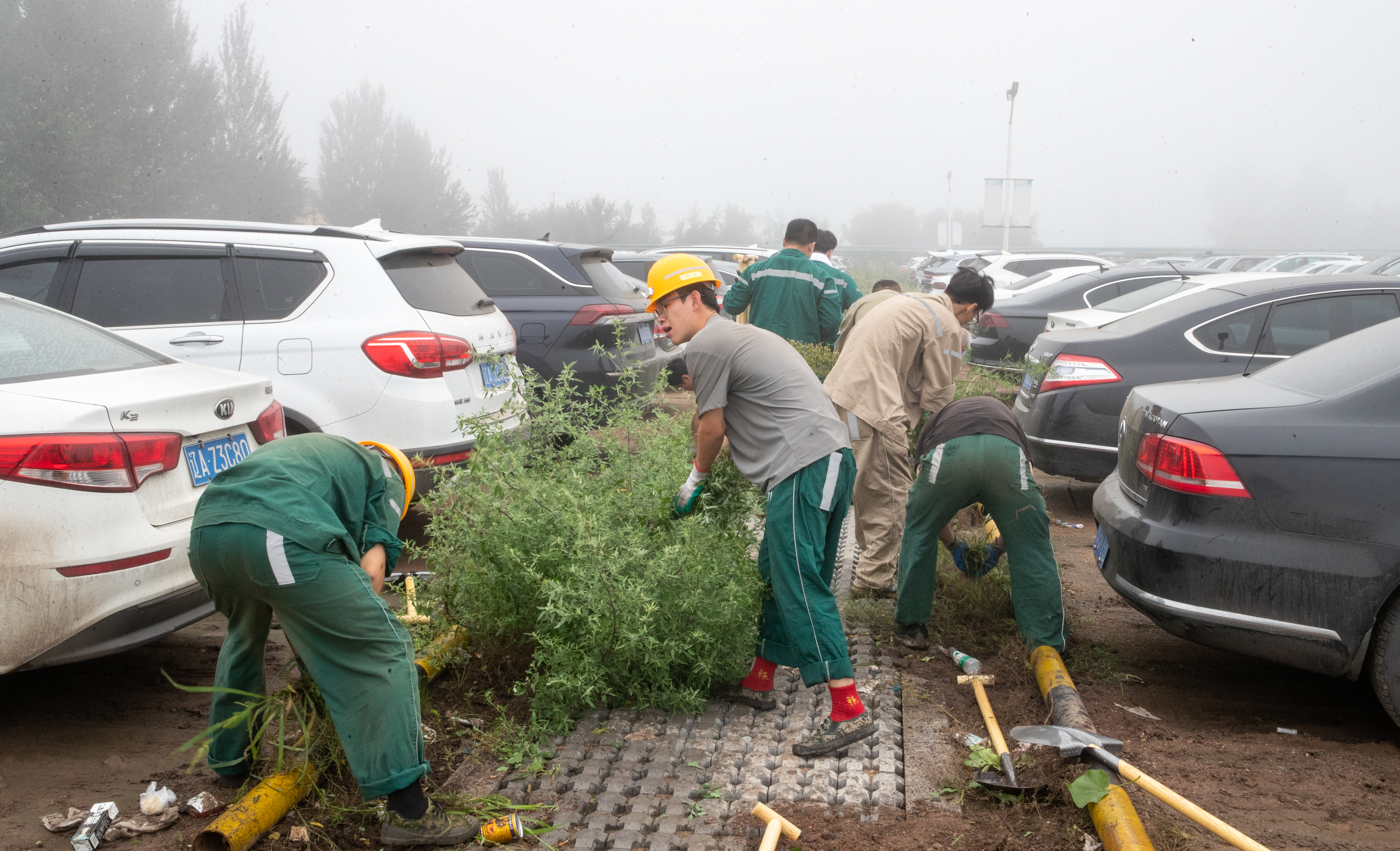 202509090854512289.jpg 202509090854512289.jpg