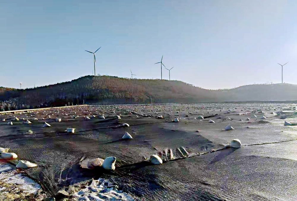 202011250817350932.jpg 202011250817350932.jpg