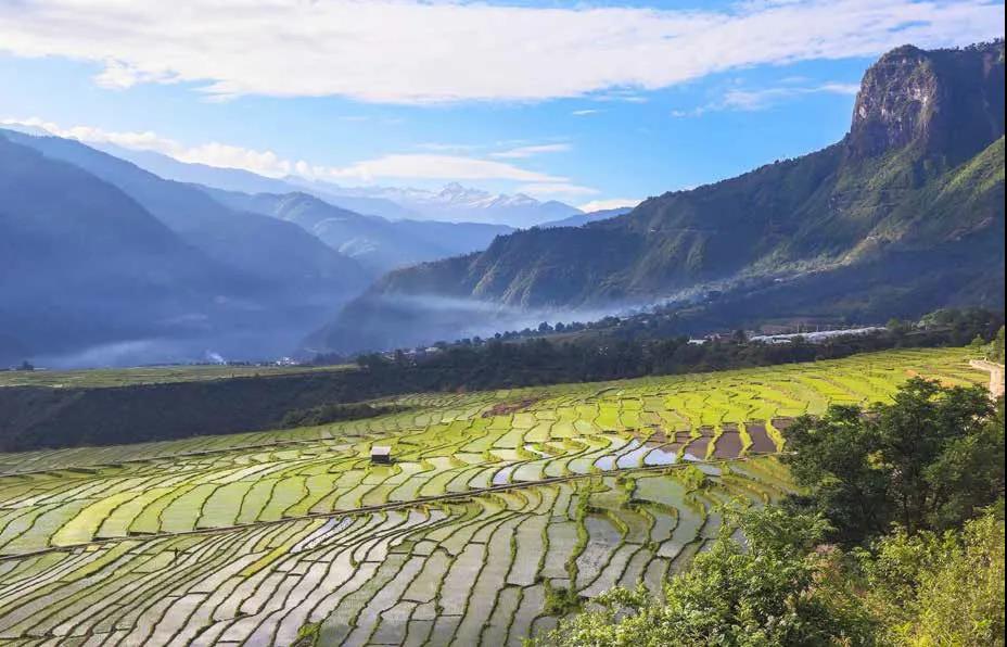 202006181416336702.jpg 202006181416336702.jpg