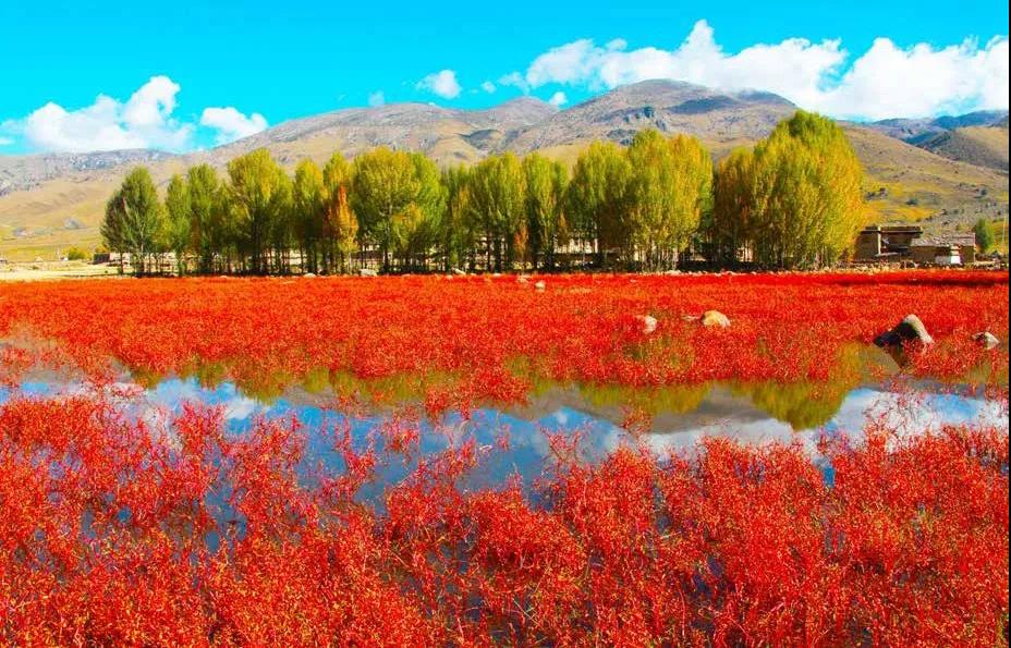 202006290835543259.jpg 202006290835543259.jpg