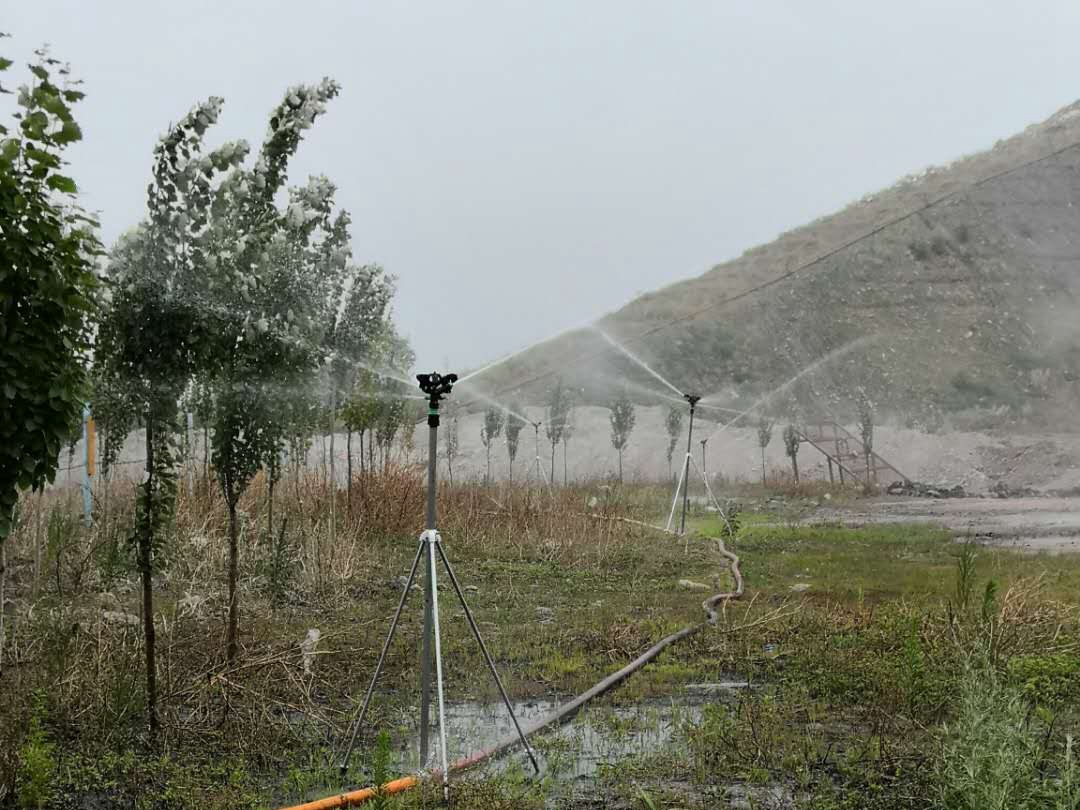 202006300827168628.jpg 202006300827168628.jpg