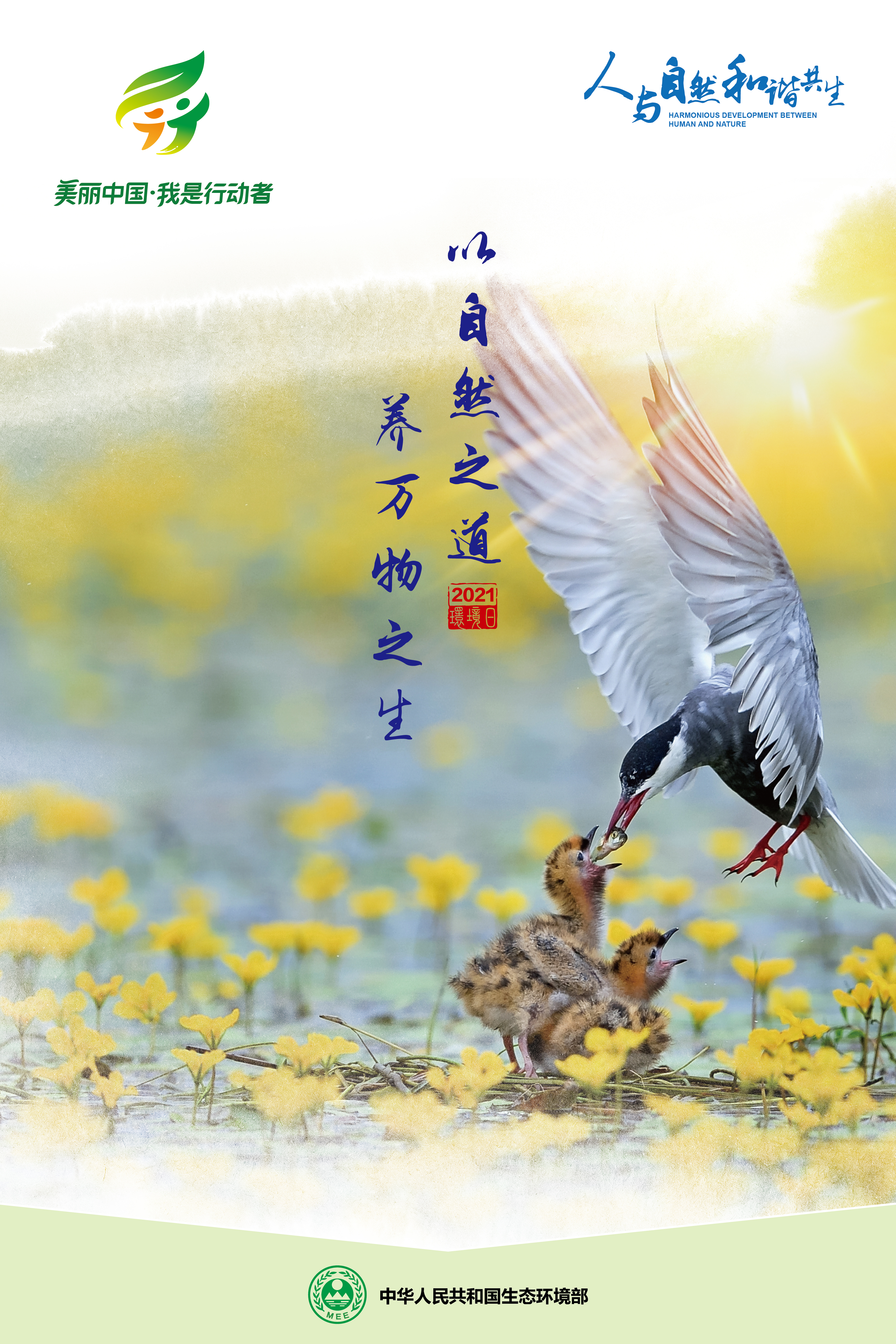 202106031338279237.jpg 202106031338279237.jpg