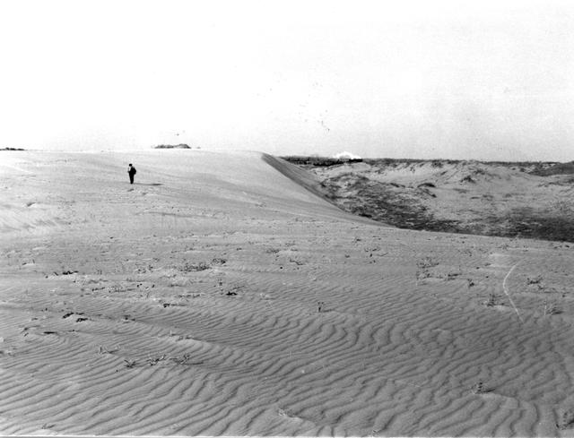 202206060938389792.jpeg 202206060938389792.jpeg