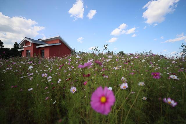 202206060939109113.jpeg 202206060939109113.jpeg