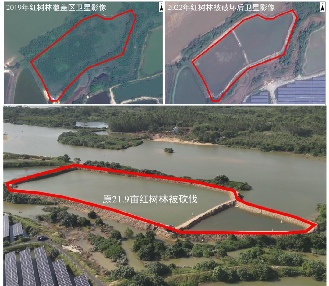 202312011629328191.png 202312011629328191.png