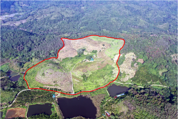 202312081234435598.png 202312081234435598.png