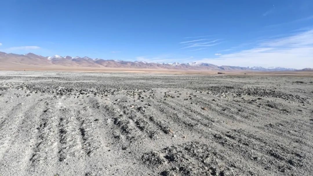 202312291100589520.jpg 202312291100589520.jpg