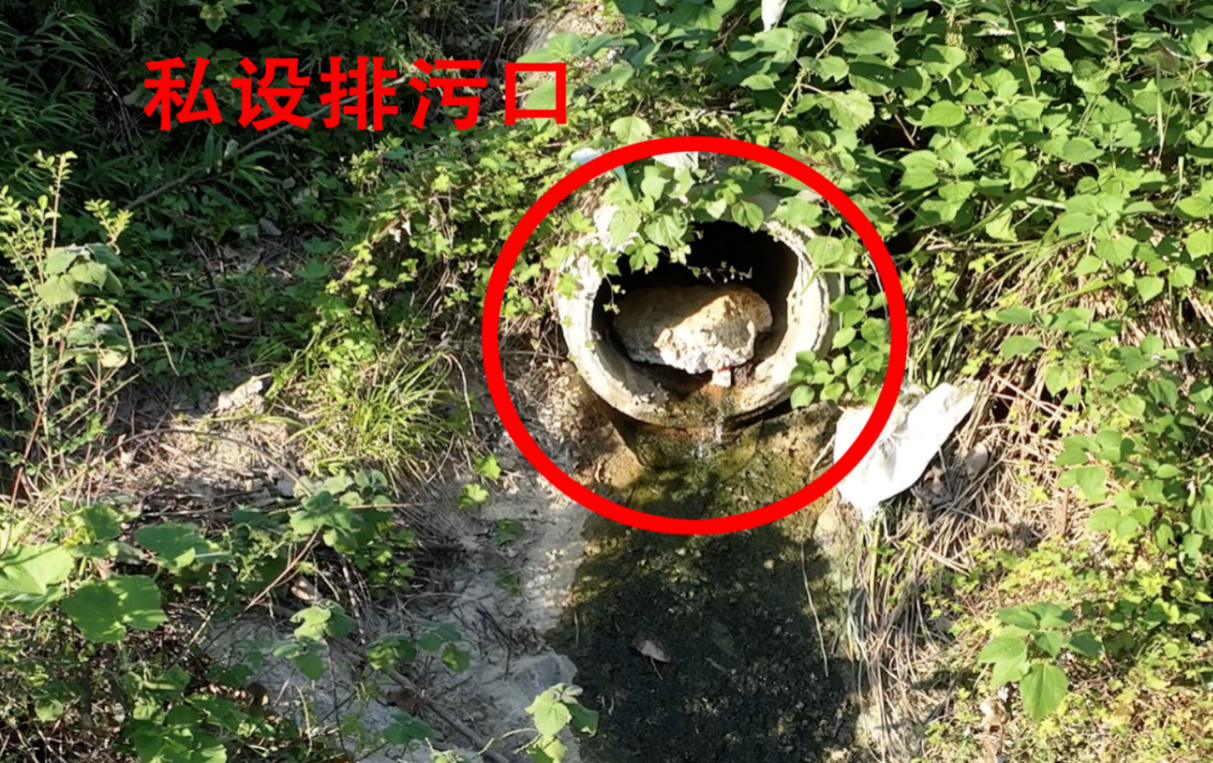 202411081015133572.png 202411081015133572.png