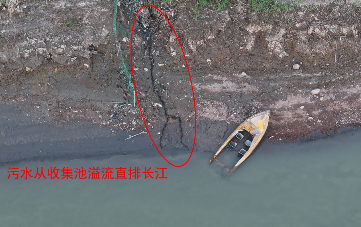 202411141506591088.png 202411141506591088.png