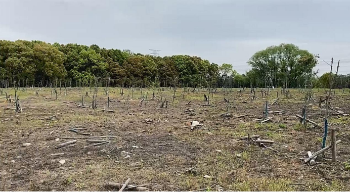 202405171503182908.png 202405171503182908.png