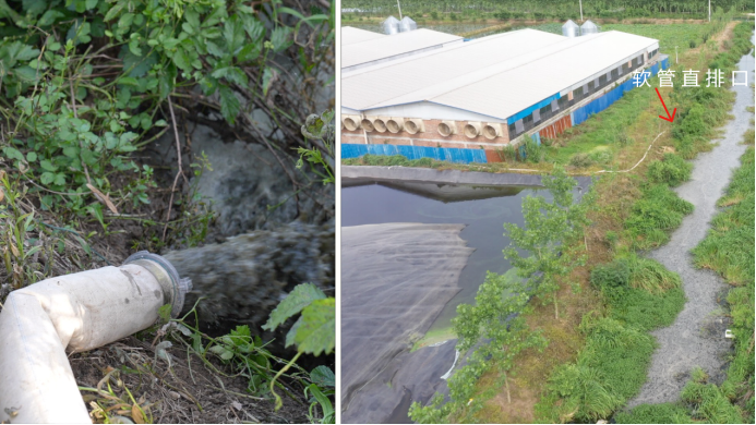 202405171508007907.png 202405171508007907.png