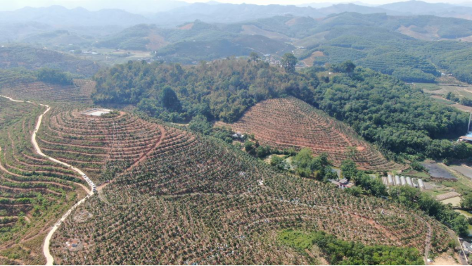 202405171511596880.png 202405171511596880.png